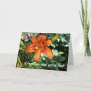 Suche nach glück fotokarten Blume