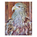 Suche nach seeadler poster Greifvögel