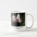 Suche nach azoren tassen Portugal