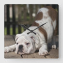 Suche nach welpen wanduhren Farbbild