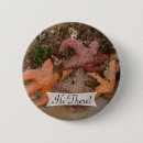 Suche nach seestern buttons Meeresleben