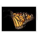 Suche nach monarchfalter postkarten Wild lebende tiere