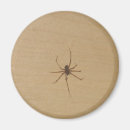Suche nach spinne magnete Lustig