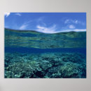 Suche nach oberflächen poster Grün