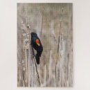 Suche nach flügel puzzle Tierwelt