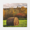 Suche nach heu magnete Landwirtschaftliche betriebe