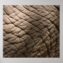 Suche nach abstrakter elefant poster Natur