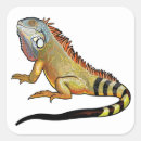 Suche nach grüne eidechse aufkleber Leguan