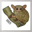 Suche nach tarsier poster Primat