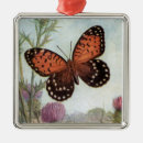 Suche nach schöne schmetterlinge ornamente Für sie