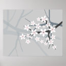 Suche nach sakura poster Pflanze