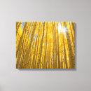 Suche nach trennung leinwandbilder Wald