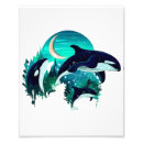 Suche nach killer whale poster Natur