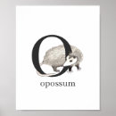 Suche nach opossum poster Aquarell