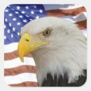Suche nach eagles aufkleber Juli