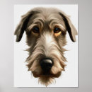 Suche nach irish wolfhound poster Grau