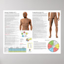Suche nach chinesische medizin poster Akupressur