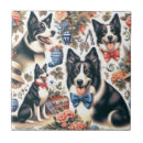 Suche nach collie fliesen Niedlich