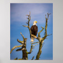 Suche nach vancouver bc poster Britische kolumbien