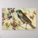 Suche nach vintager vogel poster Blätter