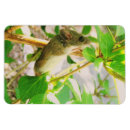 Suche nach niedliche maus magnete Katze