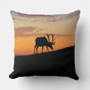 Suche nach elch kissen Wild