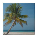 Suche nach sandstrand fliesen Blau