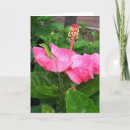 Suche nach eidechsen karten Für sie