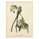 Suche nach magnolie Blumen