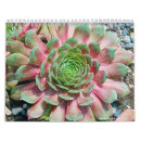 Suche nach küken kalender Henne