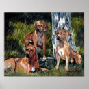 Suche nach rhodesian ridgeback poster Haustier