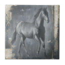 Suche nach schwarzes pferd fliesen Hengst