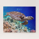 Suche nach korallenriff puzzle Natur