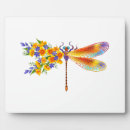 Suche nach libelle haustier fotoplatten Schmetterling