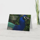 Suche nach pfau geburtstag karten Federn