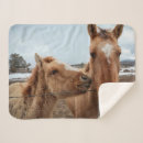 Suche nach colter decken Ranch