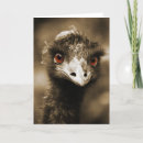 Suche nach ostrich karten Tiere