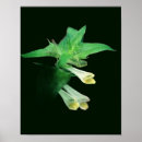Suche nach woodland poster Blumenreich