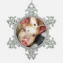 Suche nach schweinen ornamente Spaß