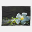 Suche nach frangipani geschirr tücher Natur