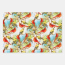 Suche nach federn geschenkpapier Bunt