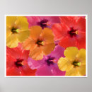 Suche nach helle blumen poster Farbenfroh