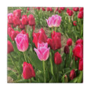 Suche nach schuhe fliesen Rosa