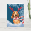 Suche nach dackel spaß karten Weihnachten