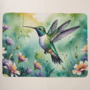 Suche nach kolibri decken Natur