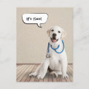 Suche nach labrador retriever poster Tierarzt