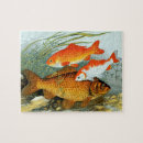 Suche nach koi fische puzzle Gold