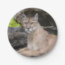 Suche nach florida teller Natur