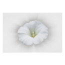 Suche nach weiß poster Nahaufnahme