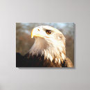 Suche nach amerikanischer adler leinwandbilder Patriotisch